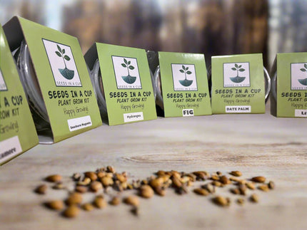 American Ash | Tree Grow Kit  |  Seeds In A Cup®