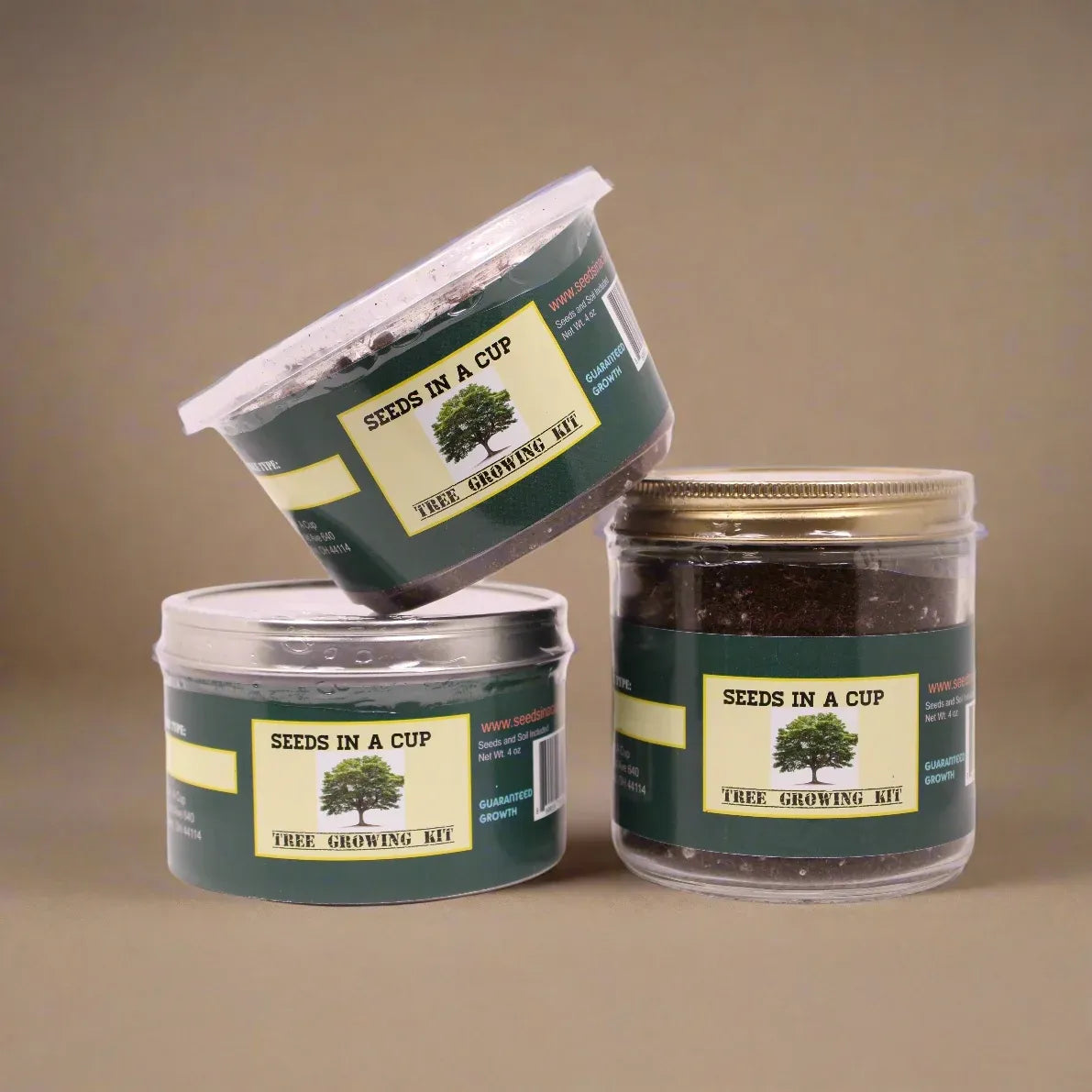 American Elm Tree  |  Seed Starter Grow Kit  |  Seeds In A Cup®