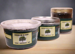 American Ash | Tree Grow Kit  |  Seeds In A Cup®