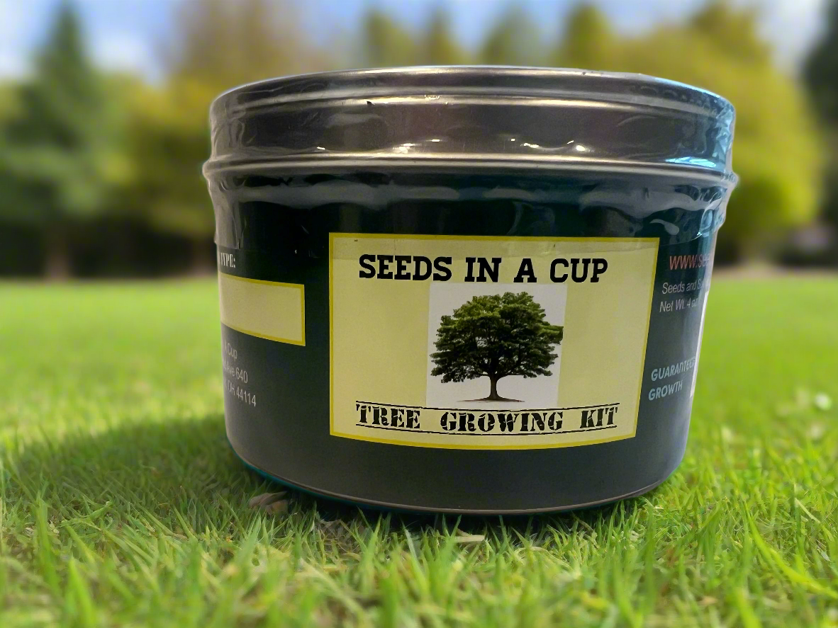 American Ash | Tree Grow Kit  |  Seeds In A Cup®