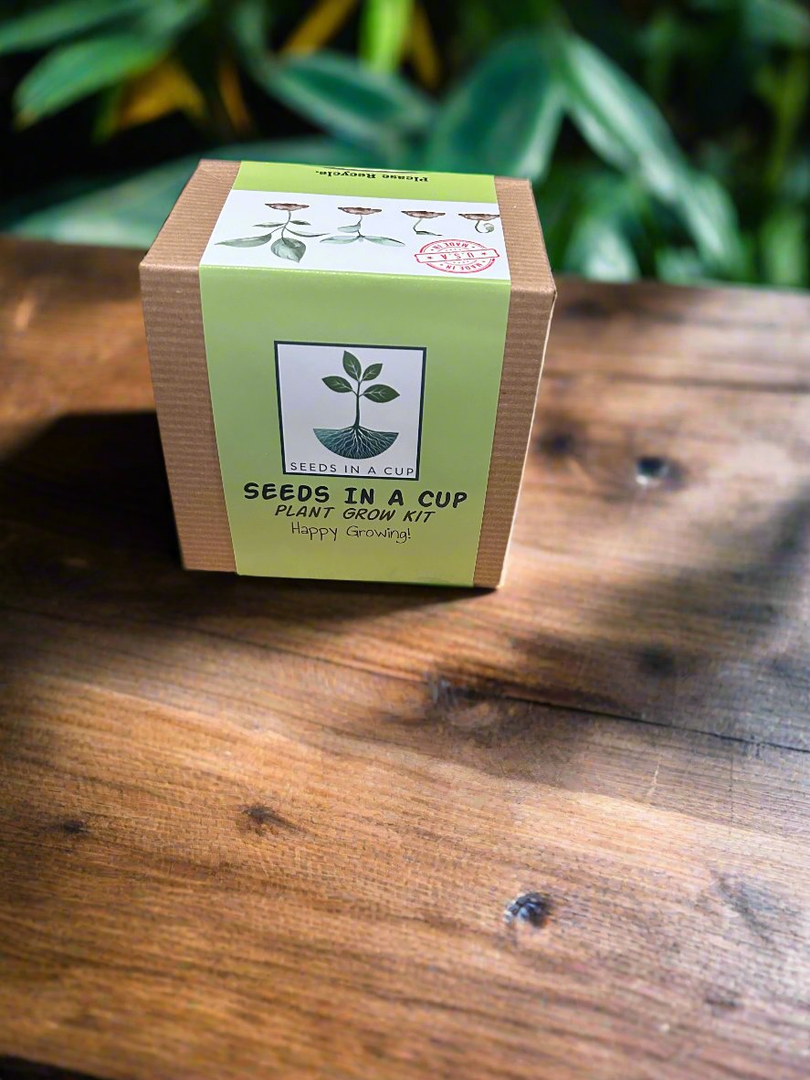 American Ash | Tree Grow Kit  |  Seeds In A Cup®