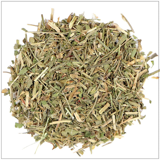 Sheep Sorrel Herb