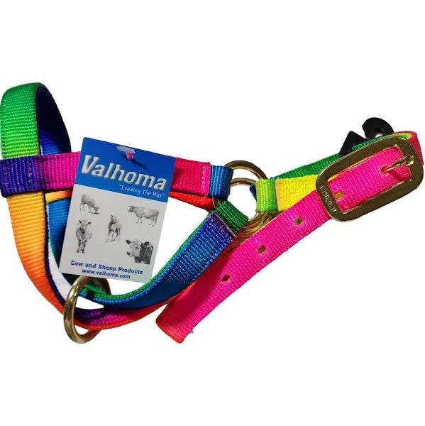 SHEEP HALTER W/LEAD - RAINBOW