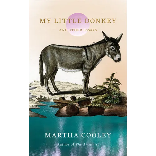 My Little Donkey: And Other Essays