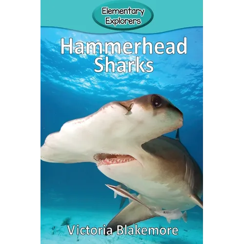 Hammerhead Sharks