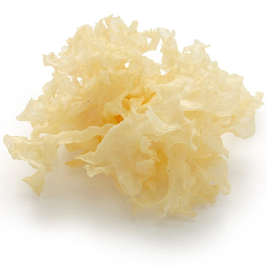 Snow Mushroom Extract Powder - 50% Polysaccharides