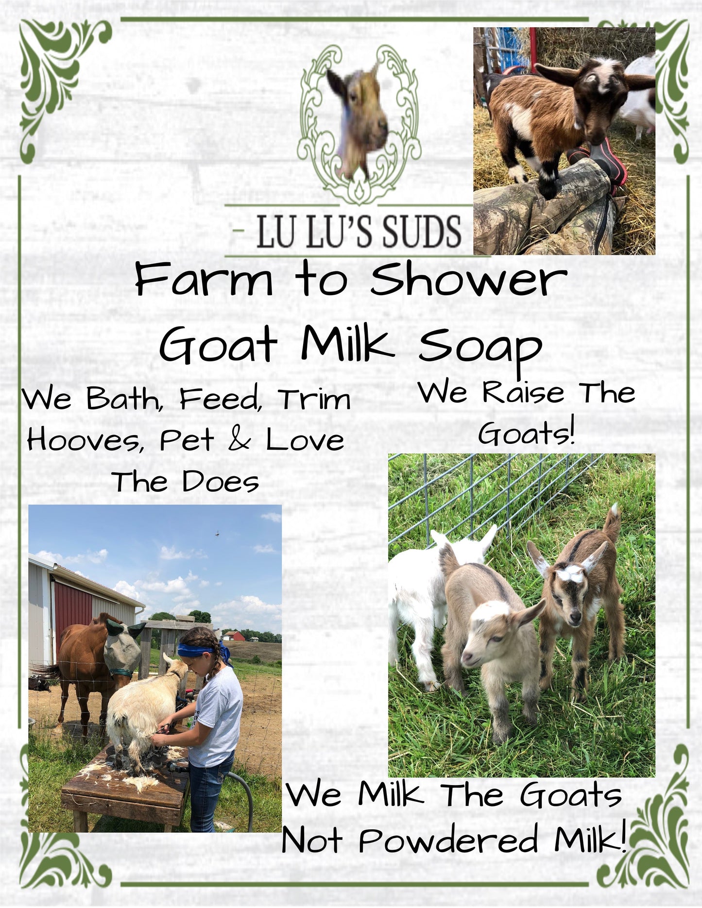 Vanilla Spice Goat Milk Soap 5 oz.