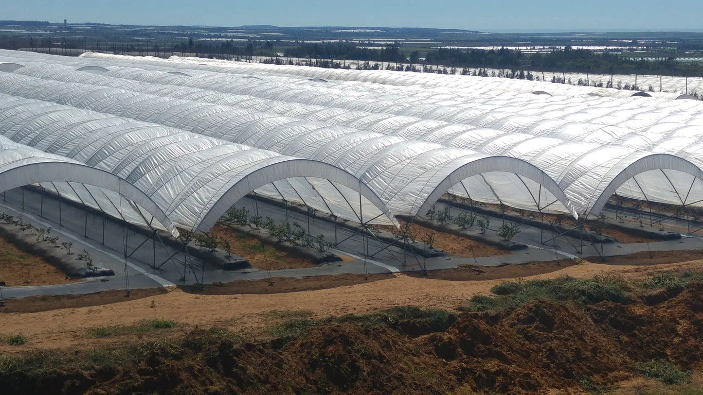 Greenhouse Woven Plastic 8 mil- Solarig 156