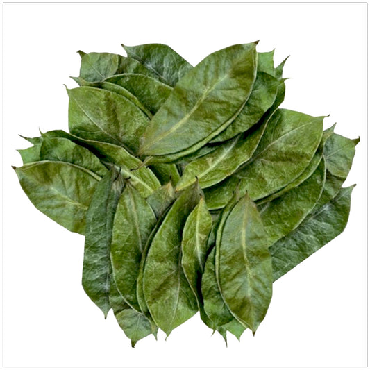 Soursop Leaf