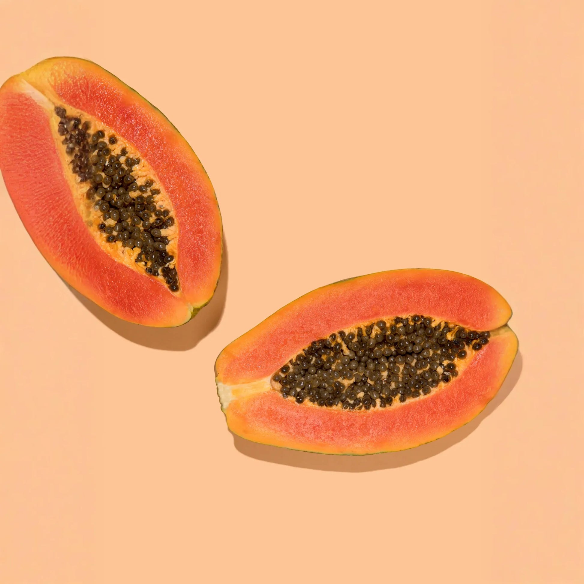 Papaya 'Dwarf Red Lady' (Carica papaya)