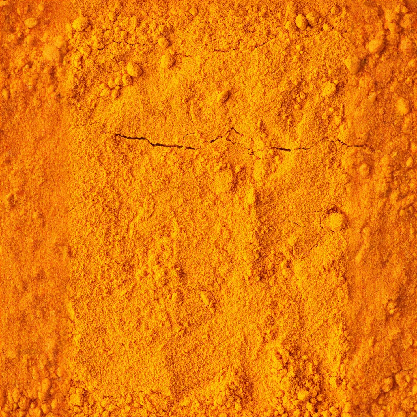 Turmeric, Orange (Curcuma longa)
