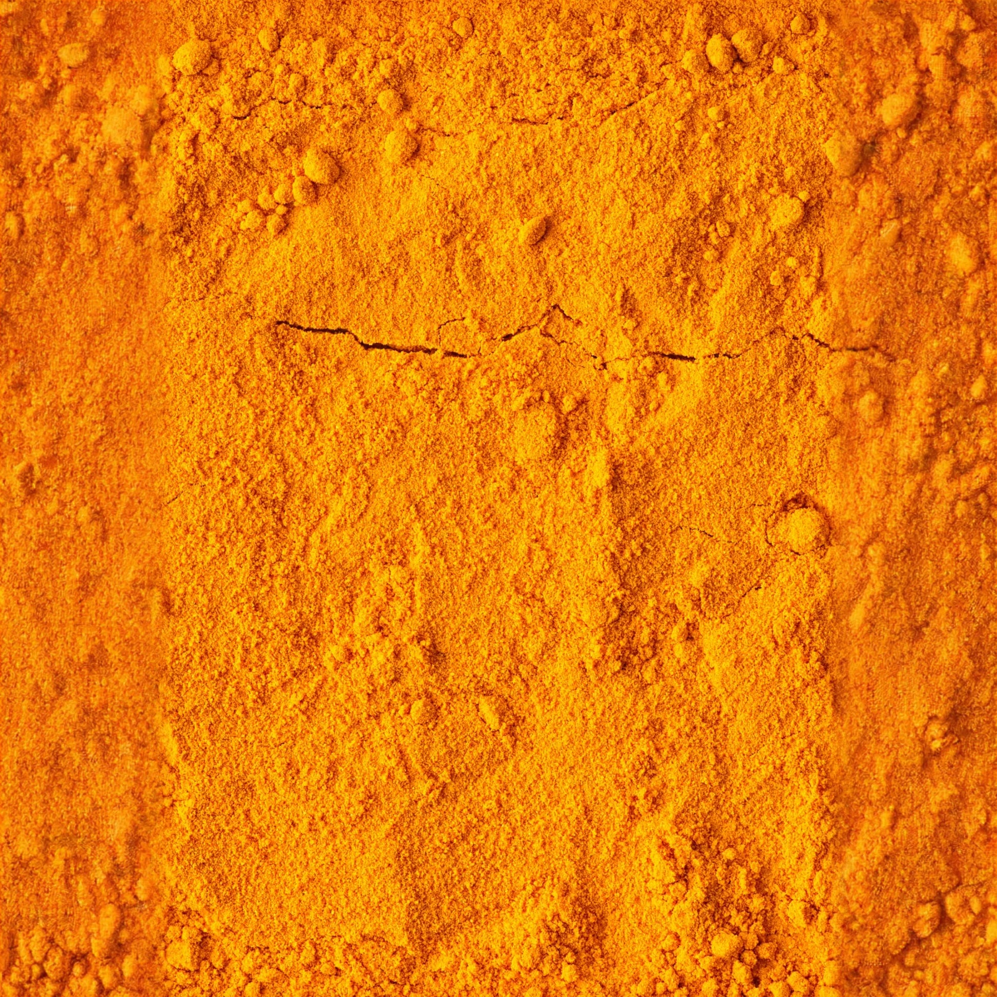 Turmeric, Orange (Curcuma longa)
