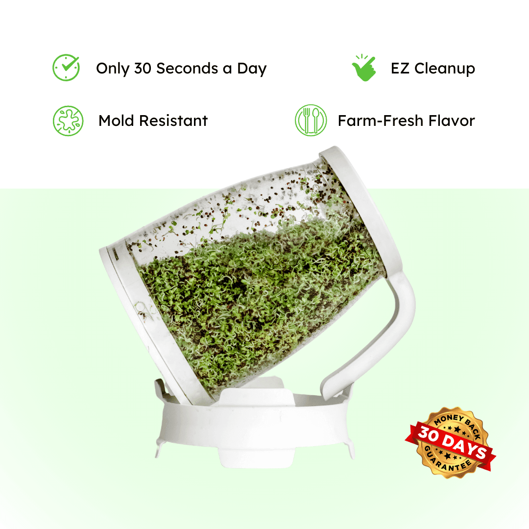 Sprout Spout Alfalfa Starter Kit: Sprout Spout + 4oz or 1lb seeds + Free Sprout Scoop