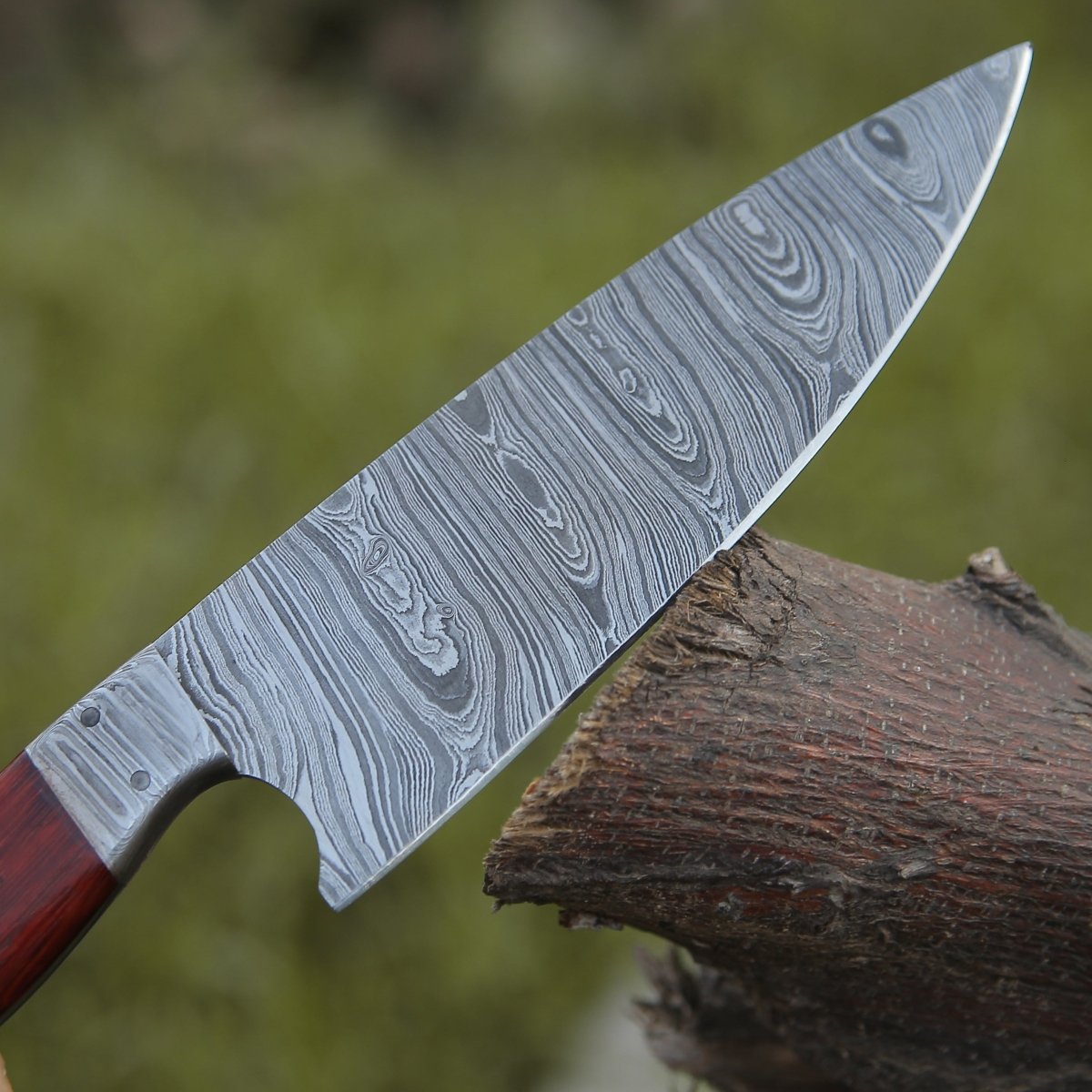 Stellar Chef's Knife with Exotic Red Heart Wood Handle