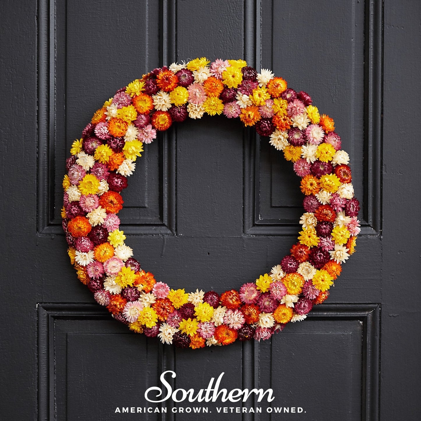 Strawflower Mix – 200 Seeds