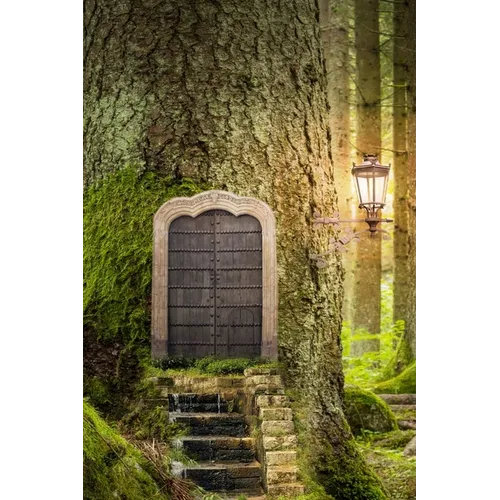 Forest Door, Discreet Internet Password Logbook, Large Print