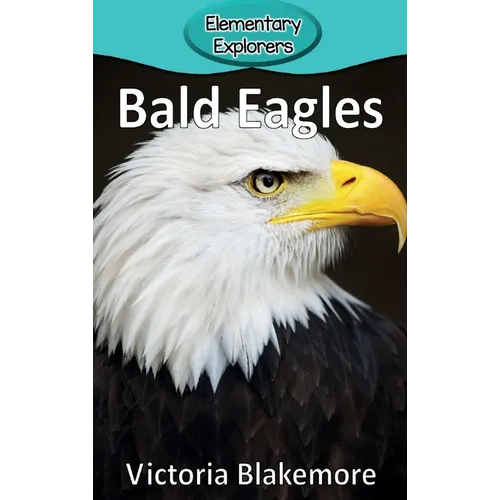Bald Eagles