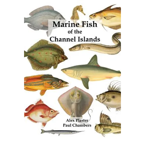 Marine Fish of the Channel Islands