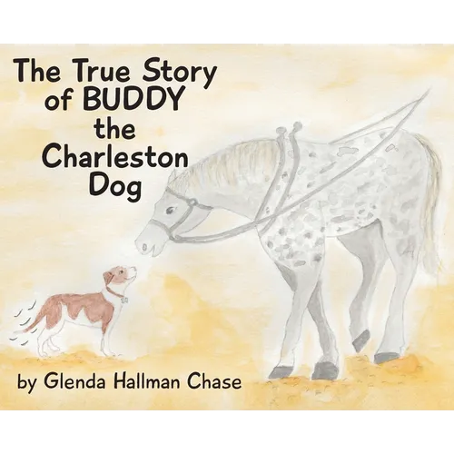 The True Story of Buddy the Charleston Dog