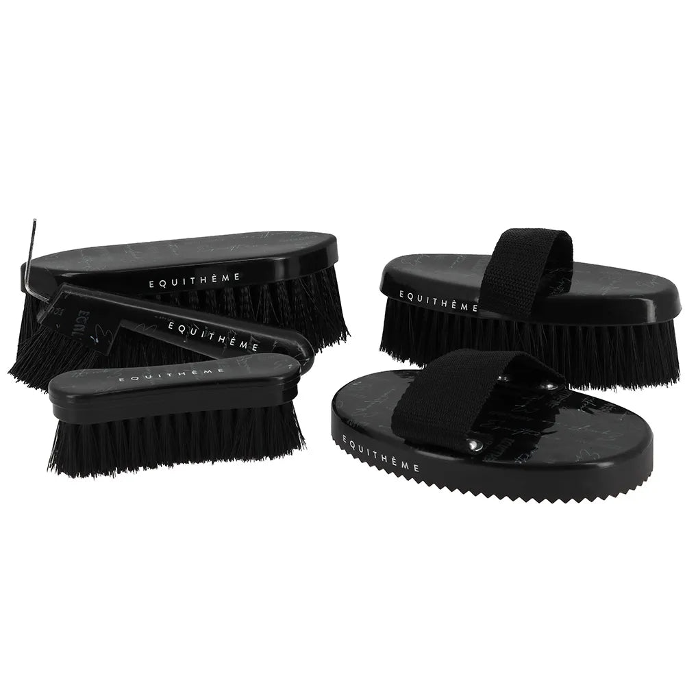 EQUITHÈME – Teenage Curry Comb