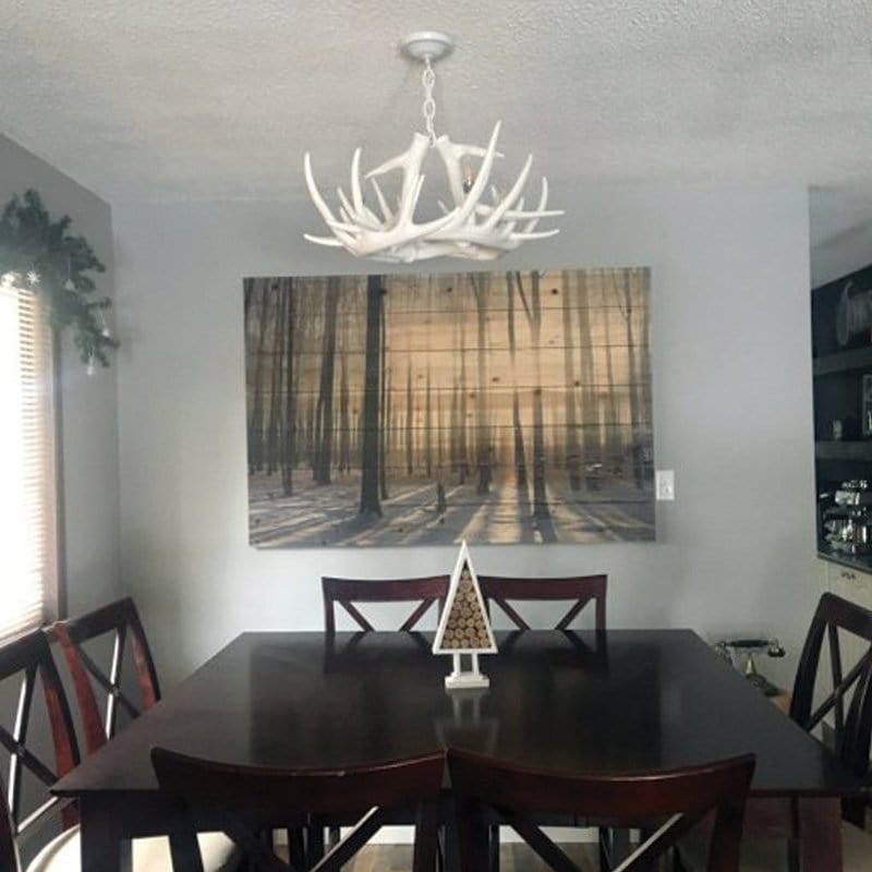 Whitetail 6 White Antler Chandelier - The Cabin Place - Little Red General Store