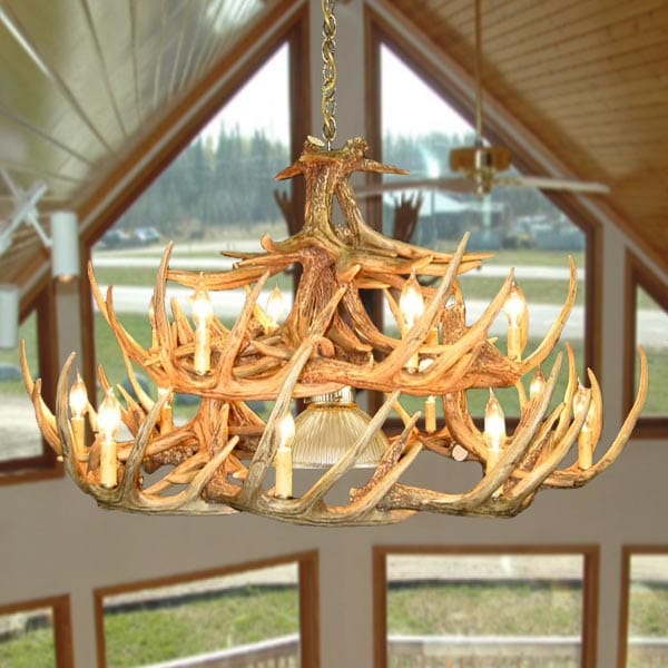 24 Antler Whitetail Chandelier - The Cabin Place - Little Red General Store