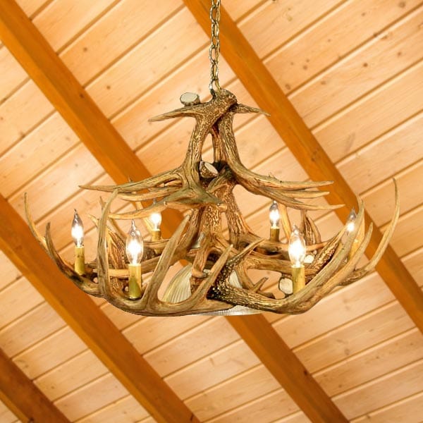12 Antler Whitetail Chandelier - The Cabin Place - Little Red General Store