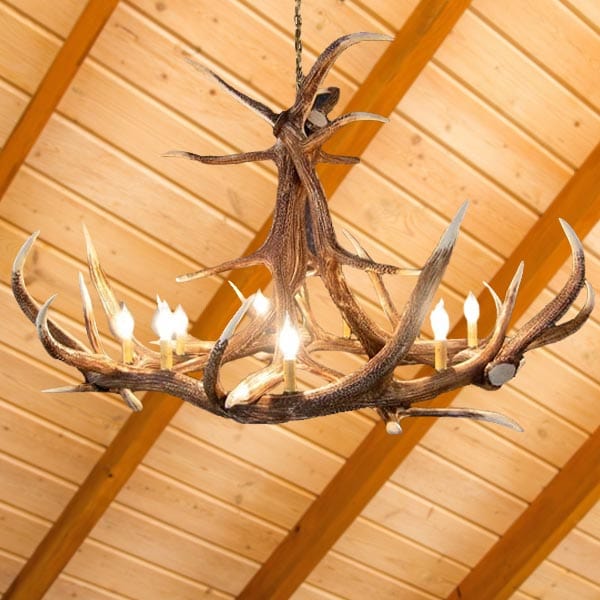 6 Antler Elk Chandelier - The Cabin Place - Little Red General Store