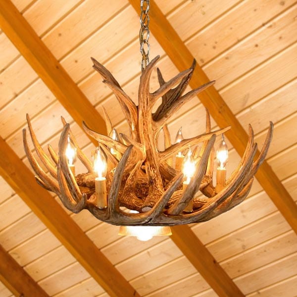 9 Antler Whitetail Cascade Chandelier - The Cabin Place - Little Red General Store