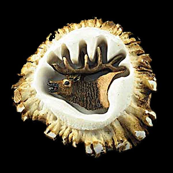 Elk Antler Burr Cabinet Knob - The Cabin Place - Little Red General Store