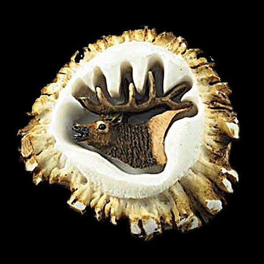 Elk Antler Burr Cabinet Knob - The Cabin Place - Little Red General Store