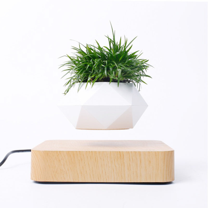 Levitating Rotation Flowerpot - The Groovalution - Little Red General Store