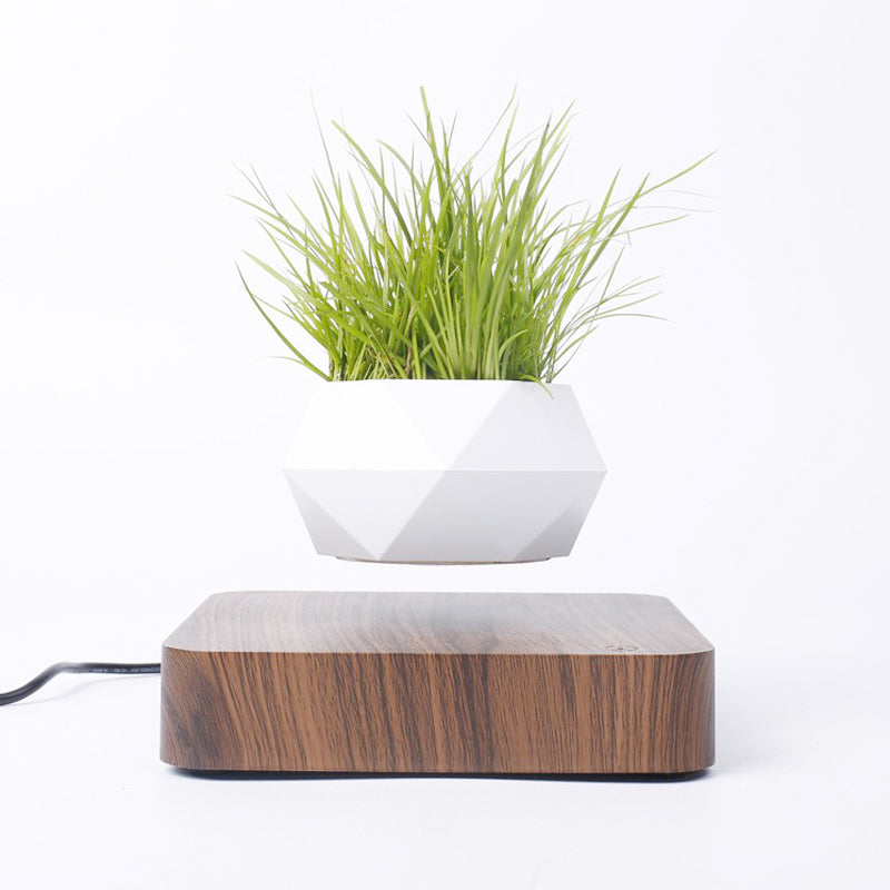 Levitating Rotation Flowerpot - The Groovalution - Little Red General Store