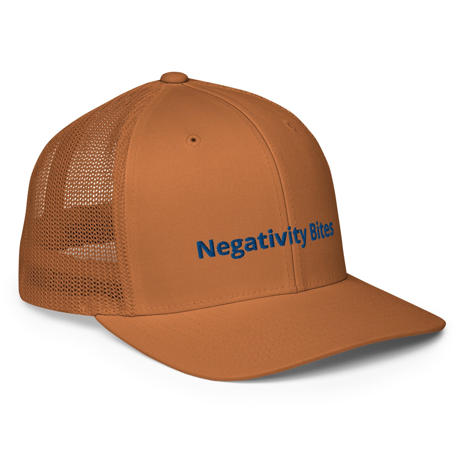 The Negativity Bites Embroidered Flex Fit Hat - The Groovalution - Little Red General Store