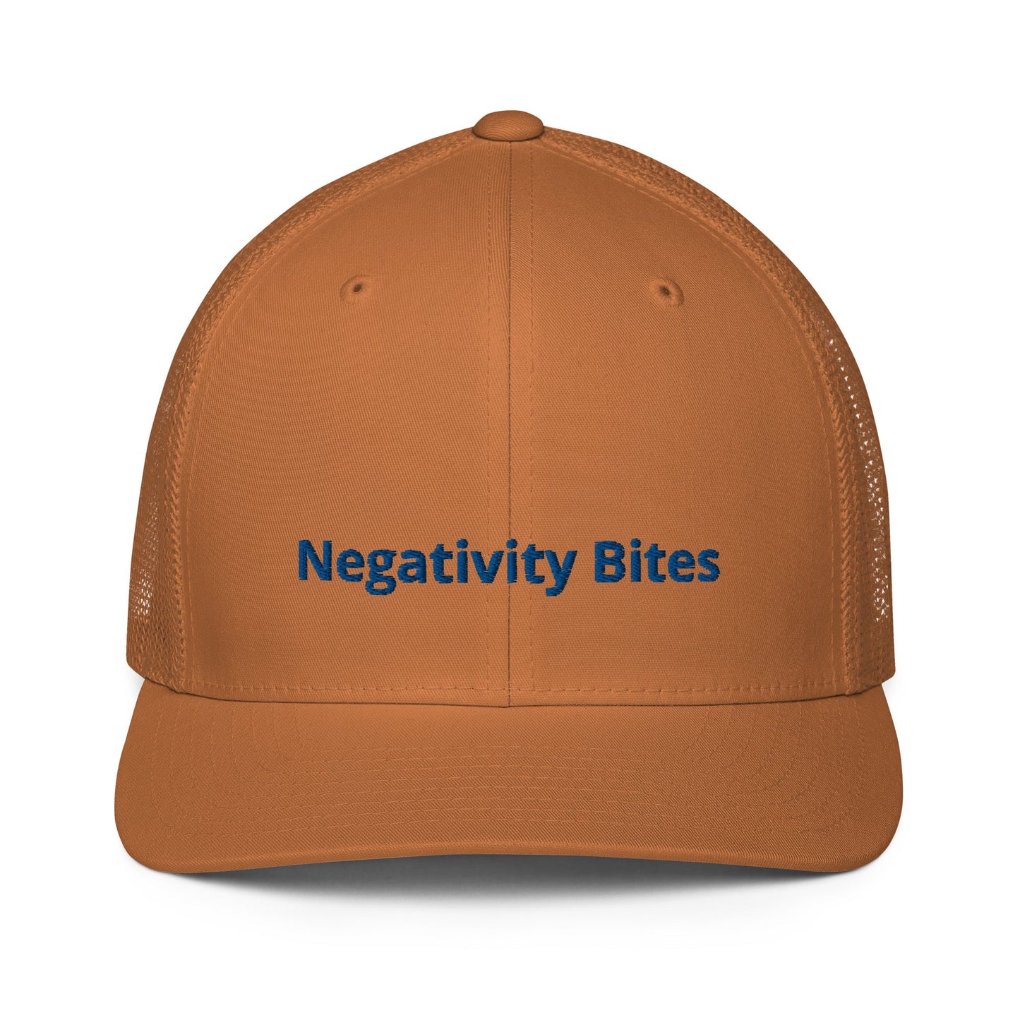 The Negativity Bites Embroidered Flex Fit Hat - The Groovalution - Little Red General Store