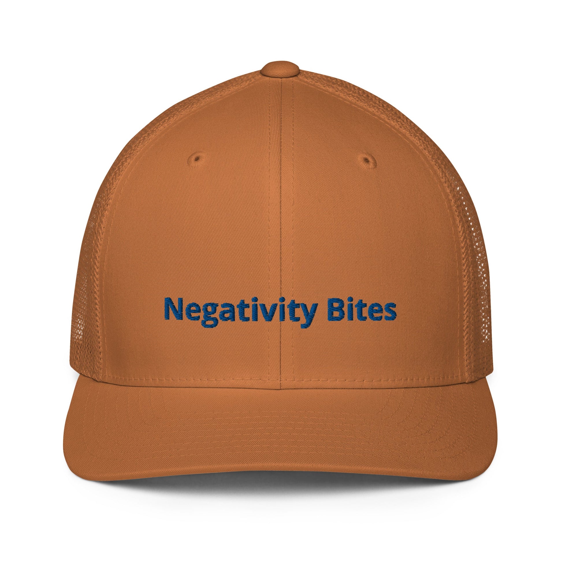 The Negativity Bites Embroidered Flex Fit Hat - The Groovalution - Little Red General Store