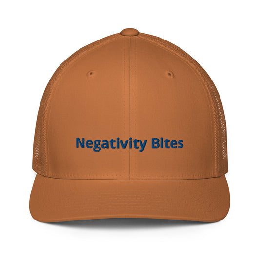 The Negativity Bites Embroidered Flex Fit Hat - The Groovalution - Little Red General Store