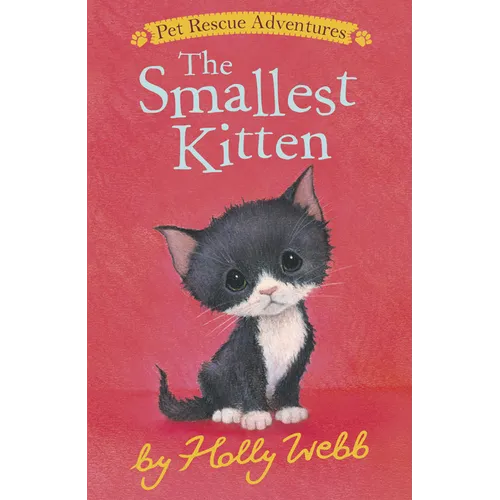 The Smallest Kitten