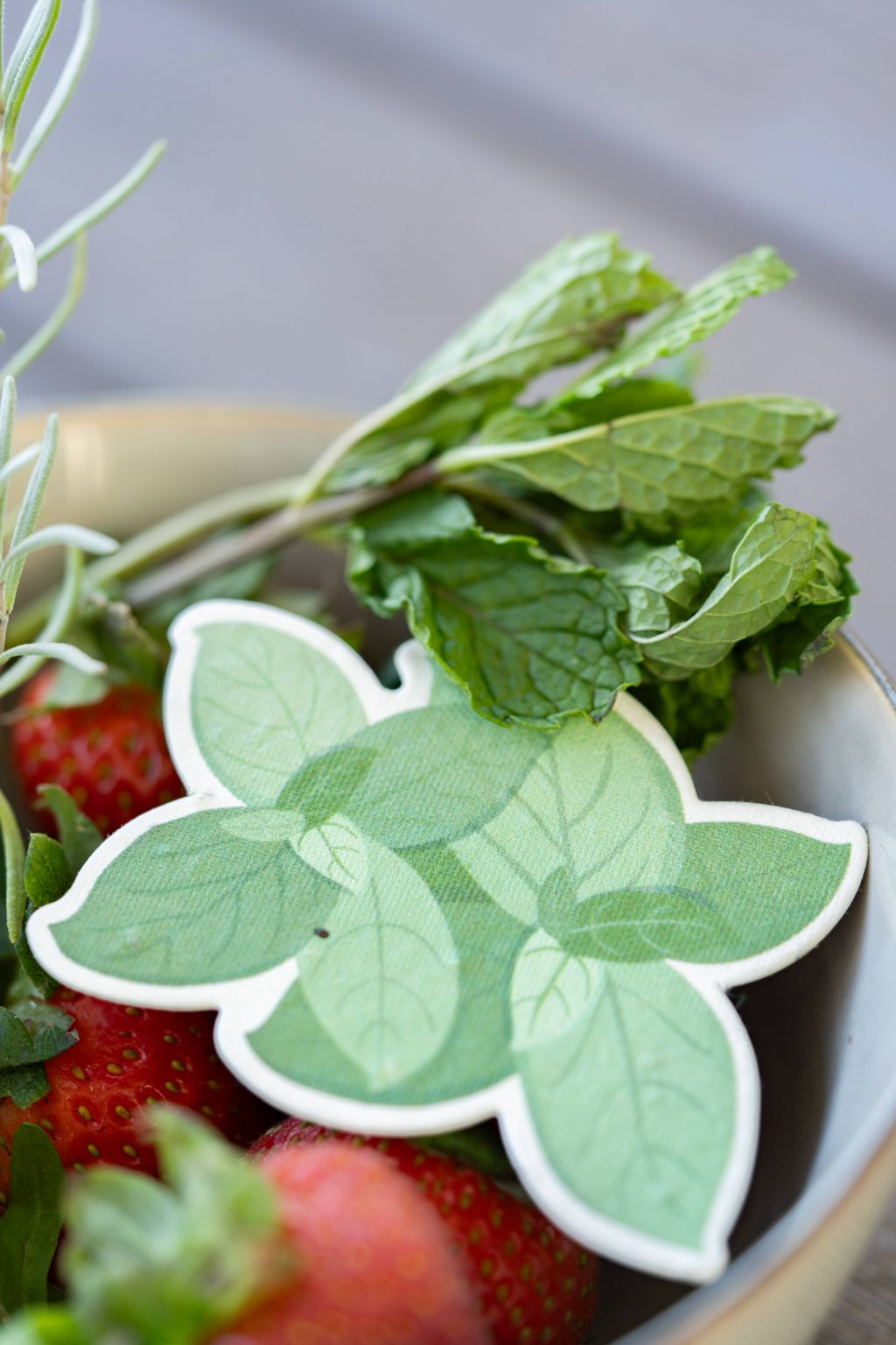 Mint Plantable Seed Paper - ToyBoxTown - Little Red General Store