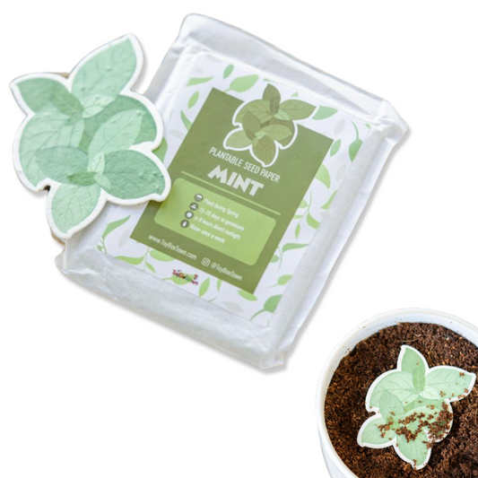 Mint Plantable Seed Paper - ToyBoxTown - Little Red General Store