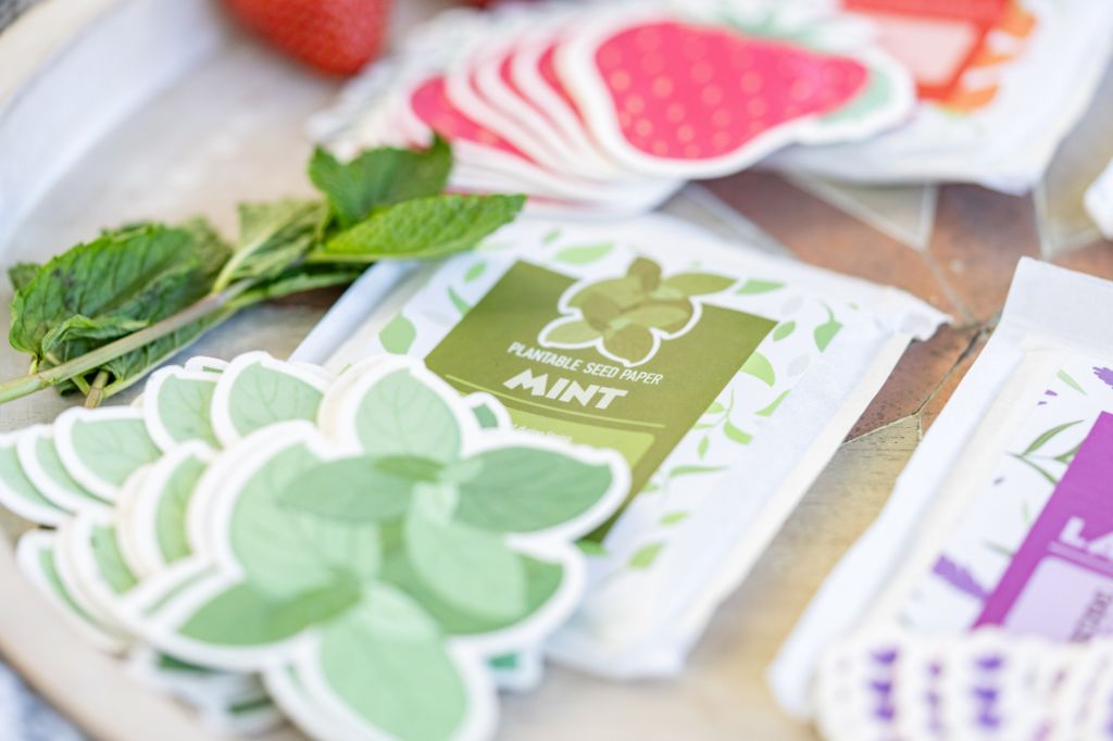 Mint Plantable Seed Paper - ToyBoxTown - Little Red General Store