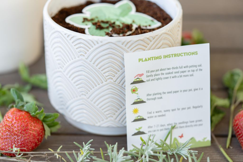 Mint Plantable Seed Paper - ToyBoxTown - Little Red General Store