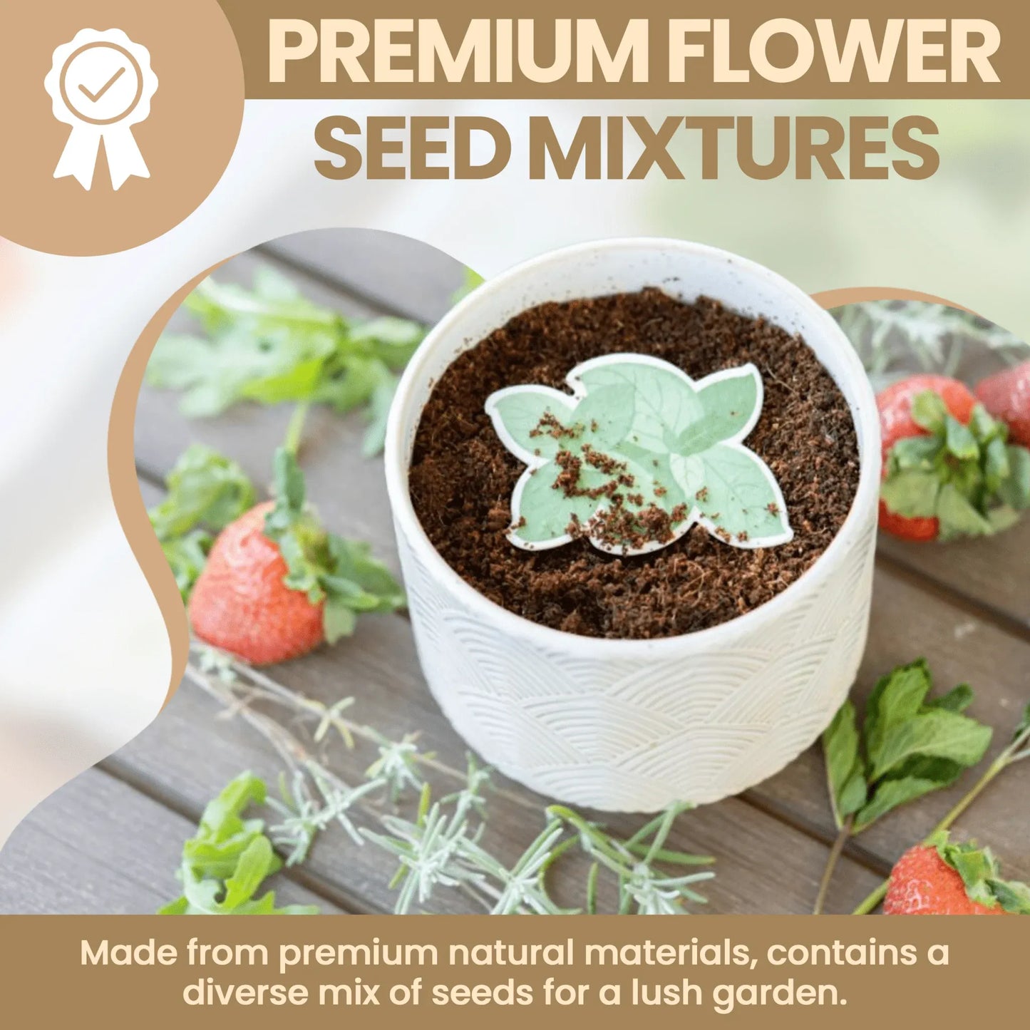 Mint Plantable Seed Paper - ToyBoxTown - Little Red General Store