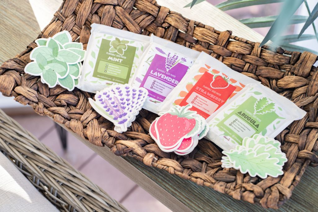 Mint Plantable Seed Paper - ToyBoxTown - Little Red General Store
