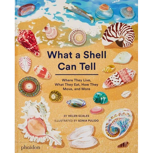 What a Shell Can Tell