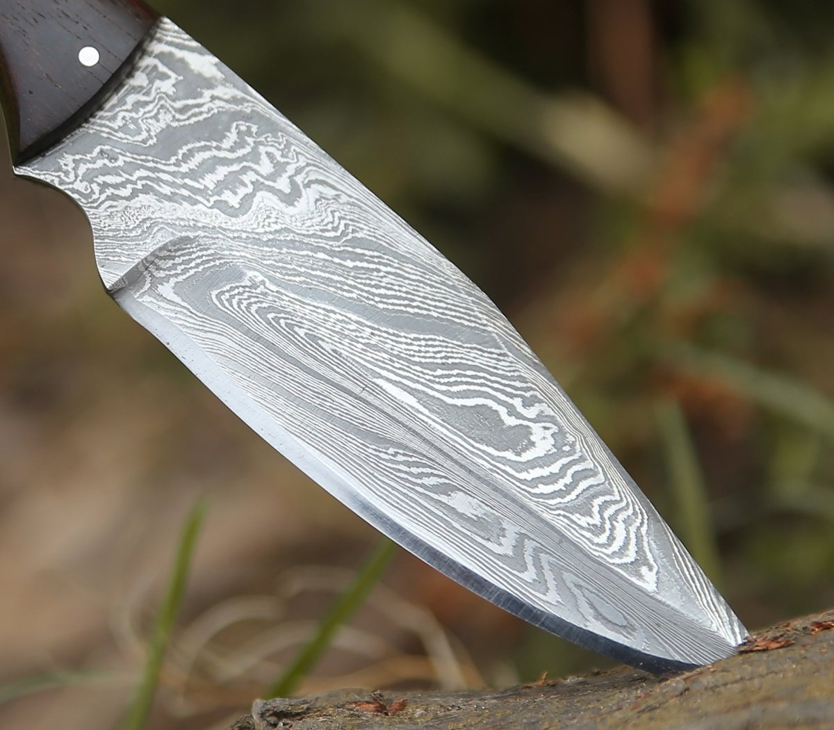 Trailseeker Every Day Carry Knife with Ram Horn & Rosewood Handle