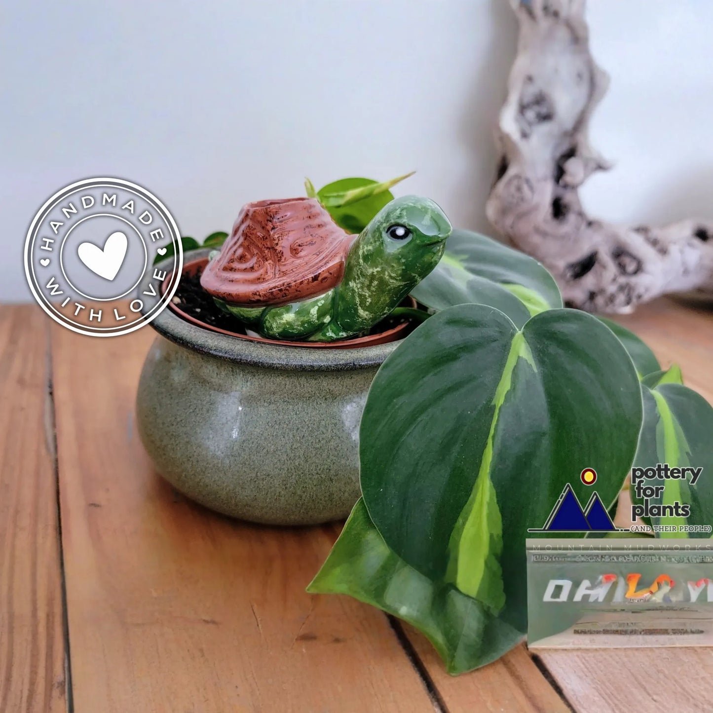 Turtle Plant Watering Spike