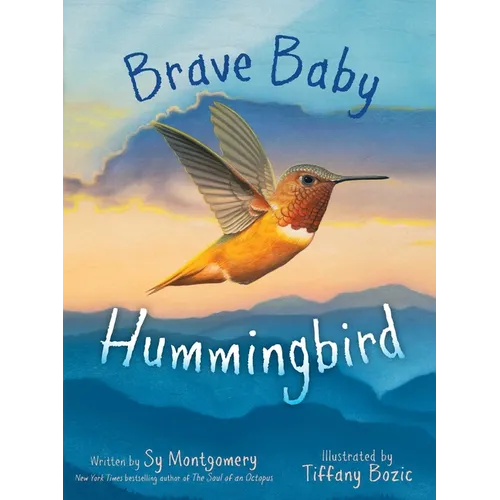Brave Baby Hummingbird