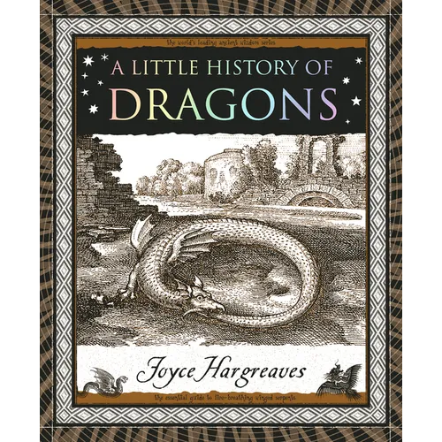 A Little History of Dragons