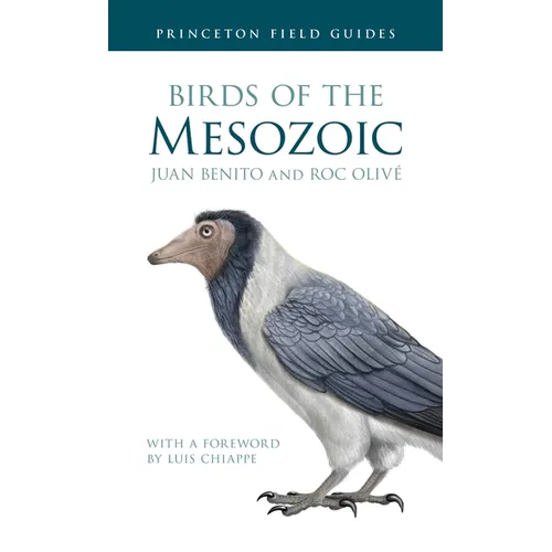 Birds of the Mesozoic
